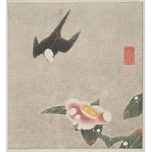 Jakuchu, 伊藤若冲 (Jakuchu Ito)创作的日本版画《White-headed Shirogashira Bird and Camellia》