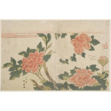 Japanese Print "Pink Peonies with Two Small Butterflies" by Katsukawa Shunsen, 勝川春扇 (Katsukawa Shunsen 勝川 春扇)