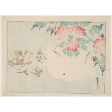 Kawanabe Kyosai, 河鍋暁斎 (Kawanabe Kyosai)による浮世絵「Two White Cats, Four Rats, And Pink Flowers Of The Oshiroi」
