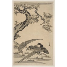 Japanese Print "Cherry Blossoms and Pheasants" by Sawa Sekkyo, 沢雪嶠 (Sawa Sekkyo)