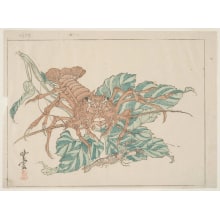 Kawanabe Kyosai, 河鍋暁斎 (Kawanabe Kyosai)による浮世絵「A Lobster, A Shrimp, And A Plant With Large Leaves」