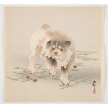 Estampe japonaise "Puppy Walking on Fallen Pine Needles" par Ohara Koson, 小原古邨 (Ohara (Koson) Shoson)