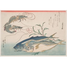 Estampe japonaise "Horse Mackerel, Prawns, and Smartweed" par Utagawa Hiroshige, 歌川広重 (Utagawa Hiroshige I 歌川 広重)