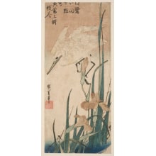 Estampe japonaise "White Heron and Irises" par Utagawa Hiroshige, 歌川広重 (Utagawa Hiroshige I 歌川 広重)