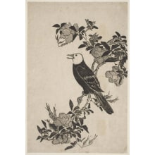 Japanese Print "A White-Headed Bird Carolling" by Sawa Sekkyo, 沢雪嶠 (Sawa Sekkyo)