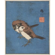 Japanese Print "Two Russet Sparrows on a Blue Field" by Tanishiro Shigenobu