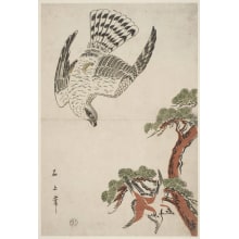Japanese Print "Two Russet Sparrows Near a Pine Tree" by Juka Sekijo, 石上 (Sekijo)