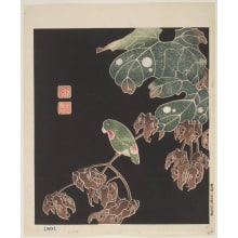 Jakuchu, 伊藤若冲 (Jakuchu Ito)创作的日本版画《A Sato-cho Bird and Chinese Parasol Tree》