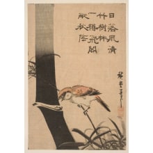 Estampe japonaise "A Paddy Bird - Java Bird - Perched Upon a Young Bamboo Shoot" par Utagawa Hiroshige, 歌川広重 (Utagawa Hiroshige I 歌川 広重)