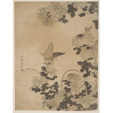 Estampe japonaise "Kiku No Chocho" par Kitao Masayoshi, 北尾政美 (Kitao MASAYOSHI)