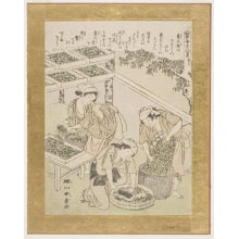 Japanischer Druck "Women Cutting up Mulberry Leaves and Feeding the Young Silkworms" von Katsukawa Shunsho, 勝川春章 (Katsukawa Shunshō 勝川 春章)