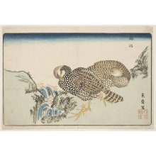 Estampe japonaise "Partridges" par Kitao Masayoshi, 北尾政美 (Kitao MASAYOSHI)