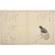 Estampe japonaise "U-Gai Ni Sagi" par Kitagawa Utamaro, 喜多川歌麿 (Kitagawa Utamaro I 喜多川 歌麿)