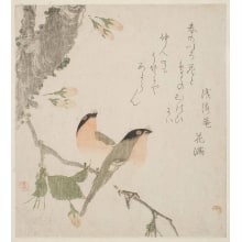 Estampe japonaise "Eastern Bullfinches" par Kubo Shunman, 窪俊満 (Kubo Shunman)