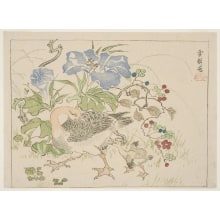 Estampe japonaise "Two Geese, A Hen and a Chick" par Kawanabe Kyosai, 河鍋暁斎 (Kawanabe Kyosai)