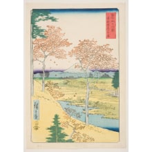 Japanese Print "Yūhigaoka at Meguro in the Eastern Capital (Tōto Meguro Yūhigaoka)" by Utagawa Hiroshige, 歌川広重 (Utagawa Hiroshige I 歌川 広重)