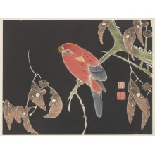Jakuchu, 伊藤若冲 (Ito Jakuchu)创作的日本版画《Parakeet on Kunugi Oak Branch》
