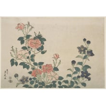 Japanese Print "Roses, Kikiyo and a Grasshopper" by Utagara Sadatora