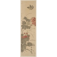 Estampe japonaise "Rose Mallows And A Butterfly Hovering" par Kitagawa Utamaro, 喜多川歌麿 (Kitagawa Utamaro I 喜多川 歌麿)