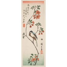 Estampe japonaise "Quince Blossoms and Unidentified Bird" par Utagawa Hiroshige, 歌川広重 (Utagawa Hiroshige I 歌川 広重)