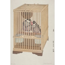 Estampe japonaise "Java Sparrow (Buncho)" par Yoshida Toshi, 吉田遠志 (Yoshida, Toshi)