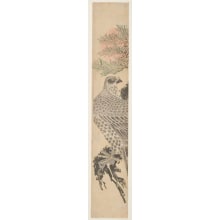 Estampe japonaise "Raptor in a Pine Tree" par Utagawa Toyohiro, 歌川豊広 (Utagawa Toyohiro 歌川 豊広)
