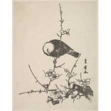 Estampe japonaise "A White-Headed Bird Clinging to a Flower-Laden Branch of a Plum Tree" par Utagawa Toyohiro, 歌川豊広 (Utagawa Toyohiro 歌川 豊広)
