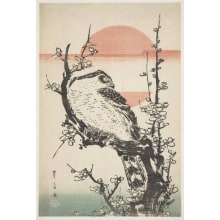 Utagawa Toyohiro, 歌川豊広 (Utagawa Toyohiro 歌川 豊広)による浮世絵「Northern Goshawk In A Blooming Plum Tree (Umehana Ni O-Taka)」