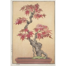 Estampe japonaise "Maple" par Yoshida, Tsukasa