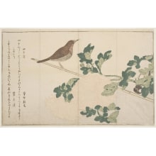 Estampe japonaise "Shijukara Ni Komadori" par Kitagawa Utamaro, 喜多川歌麿 (Kitagawa Utamaro I 喜多川 歌麿)