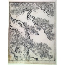 Japanese Print "A Pine Tree-frontispiece illustration from volume I (sheet 3) of the book Ehon Tokiwa-gusa (Picture Book of Evergreens)" by Nishikawa Sukenobu, 西川祐信 (Nishikawa Sukenobu)