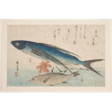 Estampe japonaise "Flying Fish, White Croaker, and Lily" par Utagawa Hiroshige, 歌川広重 (Utagawa Hiroshige I 歌川 広重)