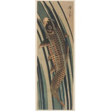 Estampe japonaise "A Carp Ascending a Waterfall" par Keisai Eisen, 渓斉英泉 (Keisai Eisen 渓斉 英泉)