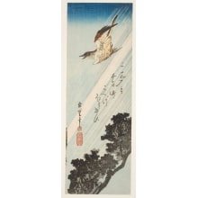 Estampe japonaise "Little Cuckoo Escaping from the Rain" par Utagawa Hiroshige, 歌川広重 (Utagawa Hiroshige I 歌川 広重)