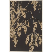 Jakuchu, 伊藤若冲 (Jakuchu Ito)创作的日本版画《Nandina (Nanten)》