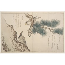 Estampe japonaise "Japanese Grosbeak (ikaru) and Woodpecker (kitsutsuki)" par Kitagawa Utamaro, 喜多川歌麿 (Kitagawa Utamaro I 喜多川 歌麿)