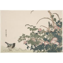 Estampe japonaise "Morning Glories, Bush Clover, another Flowering Plant and Two Birds" par Unknown, 無款