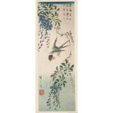 Japanese Print "Wisteria Flowers and Swallow" by Utagawa Hiroshige, 歌川広重 (Utagawa Hiroshige I 歌川 広重)