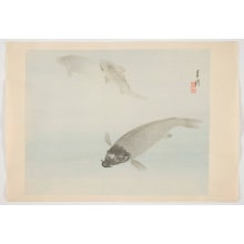 Japanese Print "Three Swimming Carp" by Ogata Gekko, 尾形月耕 (Ogata Gekko)