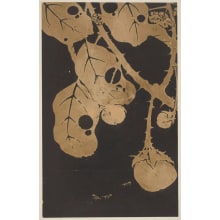 Jakuchu, 伊藤若冲 (Jakuchu Ito)创作的日本版画《An Egg-Plant in Fruit and Below Three Ants》