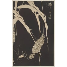Jakuchu, 伊藤若冲 (Ito, Jakuchu)创作的日本版画《Millet And A Cricket》