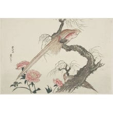 Estampe japonaise "Peonies and Two Golden Pheasants Perched Upon a Willow Tree Trunk" par Unknown, 無款