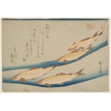 Estampe japonaise "Trout" par Utagawa Hiroshige, 歌川広重 (Utagawa Hiroshige I 歌川 広重)