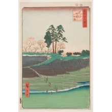 Utagawa Hiroshige, 歌川広重 (Utagawa Hiroshige I 歌川 広重)による浮世絵「Gotenyama, Shinagawa (Shinagawa Gotenyama)」