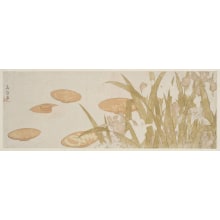 Japanese Print "Iris Flowers and Sake Cups" by Kitao Shigemasa, 北尾重政 (Kitao Shigemasa 北尾 重政)