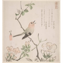 Estampe japonaise "A Bird Singing While Perched Upon A Branch Of A Shrub" par Teisai Hokuba, 蹄斎北馬 (Teisai Hokuba)