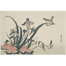 Estampe japonaise "Iris, Roses, And Two White-Breasted Birds" par Unknown, 無款