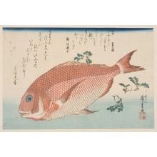 Japanese Print "Sea Bream and Sanshō Pepper" by Utagawa Hiroshige, 歌川広重 (Utagawa Hiroshige I 歌川 広重)