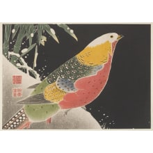 Jakuchu, 伊藤若冲 (Jakuchu Ito)创作的日本版画《Golden Pheasant and Snow-covered Bamboo》