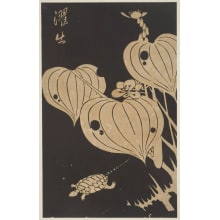 Jakuchu, 伊藤若冲 (Ito, Jakuchu)创作的日本版画《Flowers And Fruit Of A Water Plant, Below A Mud Turtle》